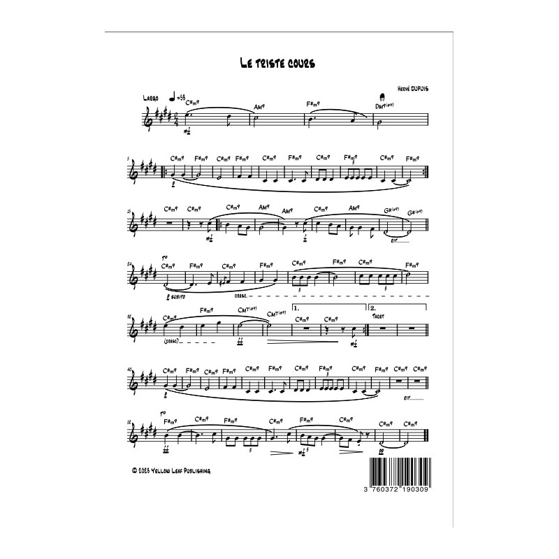 Le triste cours - lead sheet 1 page imprimée